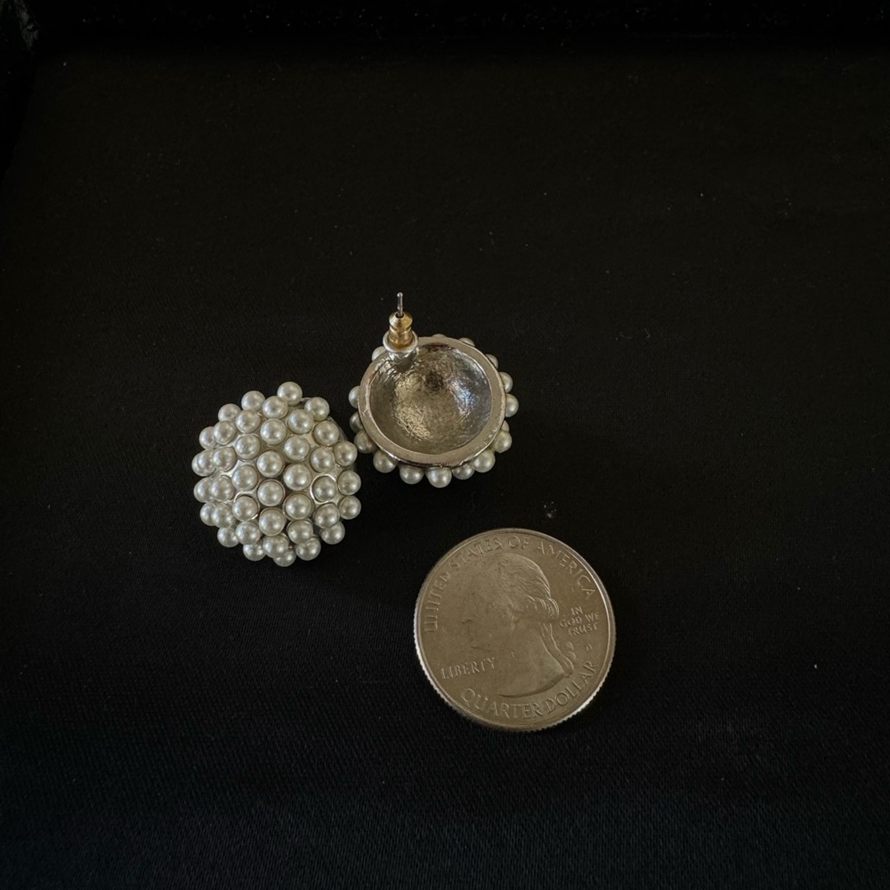 Statement Earring Bundle - image 5